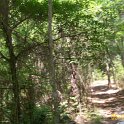 2012-May-05_HGR4X4_Richloam 284